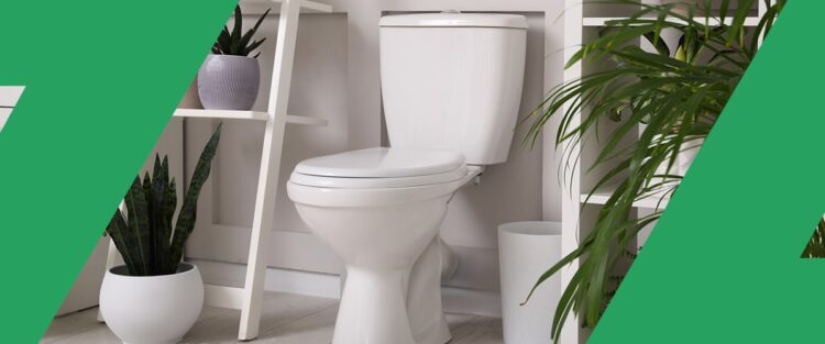 Breaking Down the Different Types of Toilets image