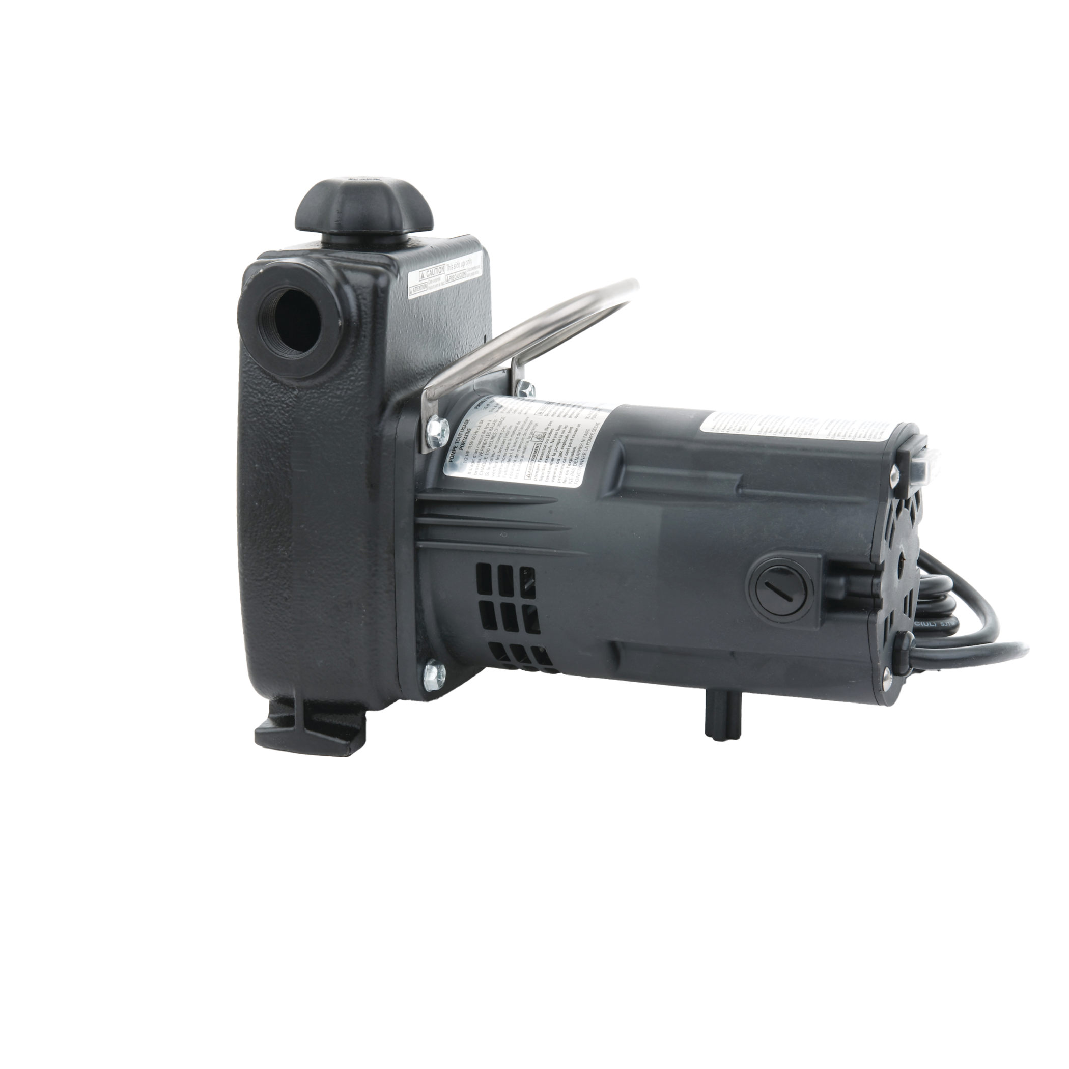 314 Portable Transfer Pump with 20' Cord